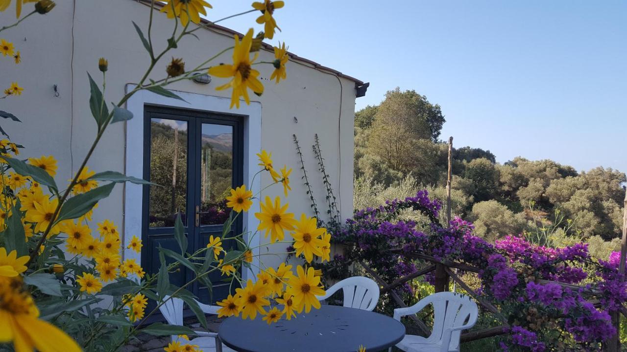 Gli Ulivi Agriturismo Sant'Agnello Extérieur photo