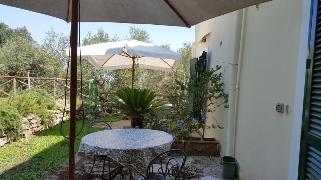 Gli Ulivi Agriturismo Sant'Agnello Extérieur photo