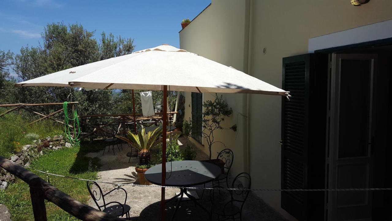 Gli Ulivi Agriturismo Sant'Agnello Extérieur photo