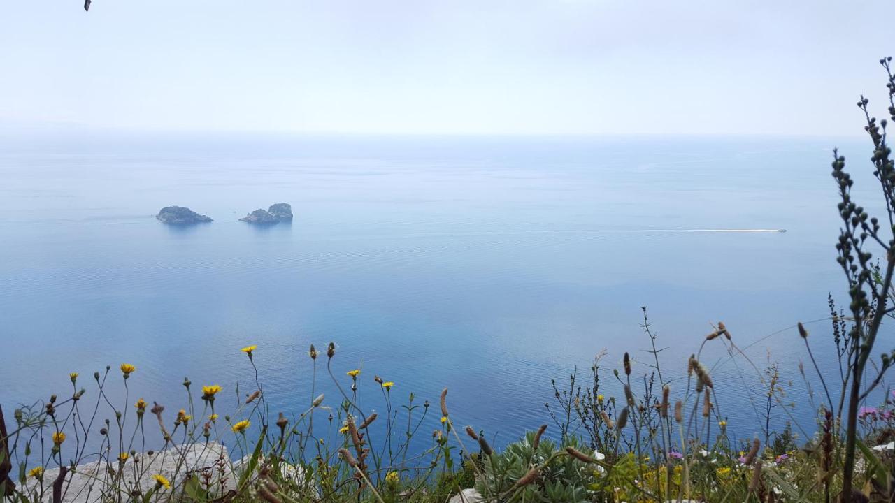 Gli Ulivi Agriturismo Sant'Agnello Extérieur photo