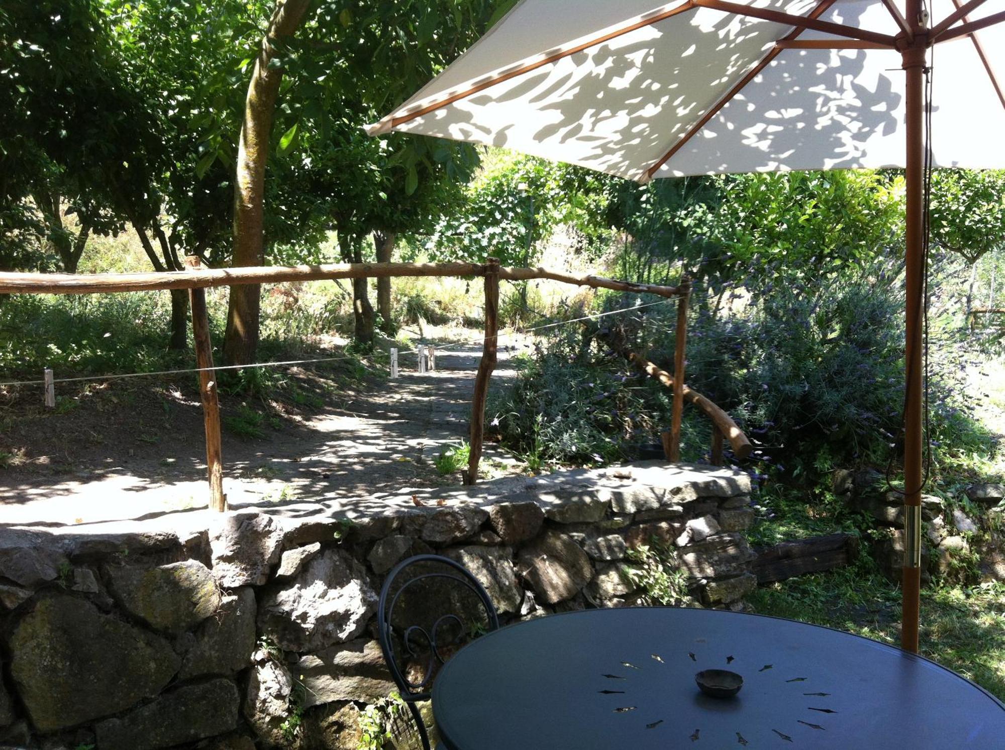 Gli Ulivi Agriturismo Sant'Agnello Extérieur photo