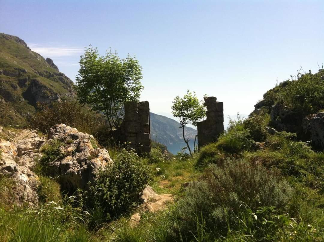 Gli Ulivi Agriturismo Sant'Agnello Extérieur photo