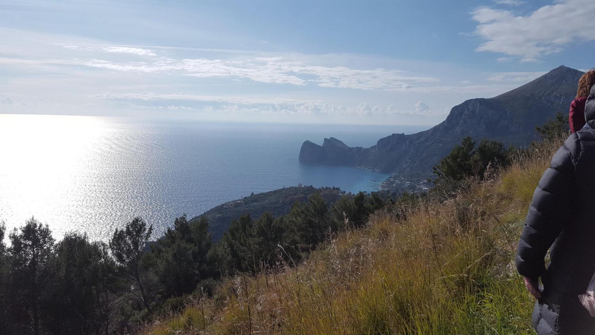 Gli Ulivi Agriturismo Sant'Agnello Extérieur photo