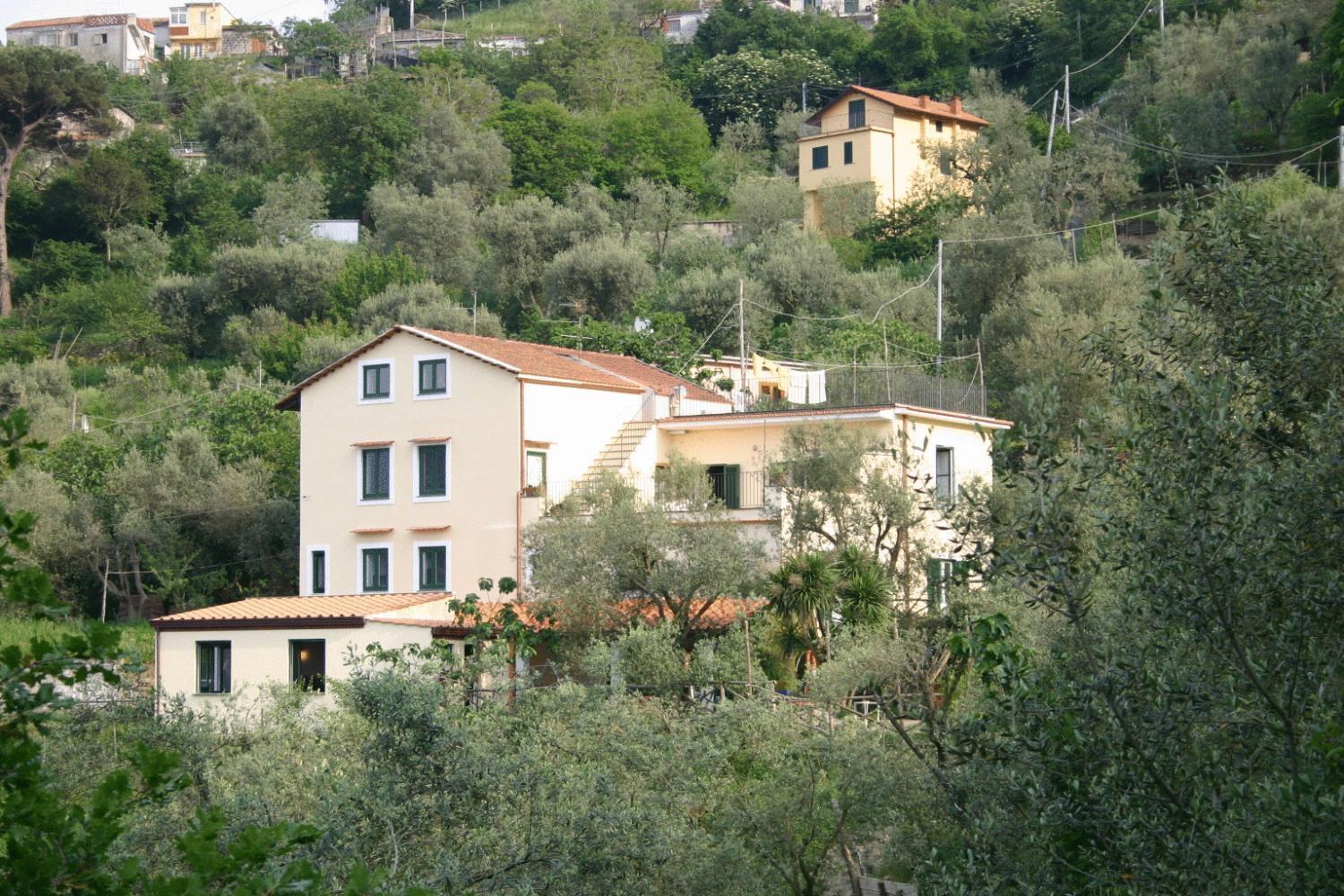 Gli Ulivi Agriturismo Sant'Agnello Extérieur photo