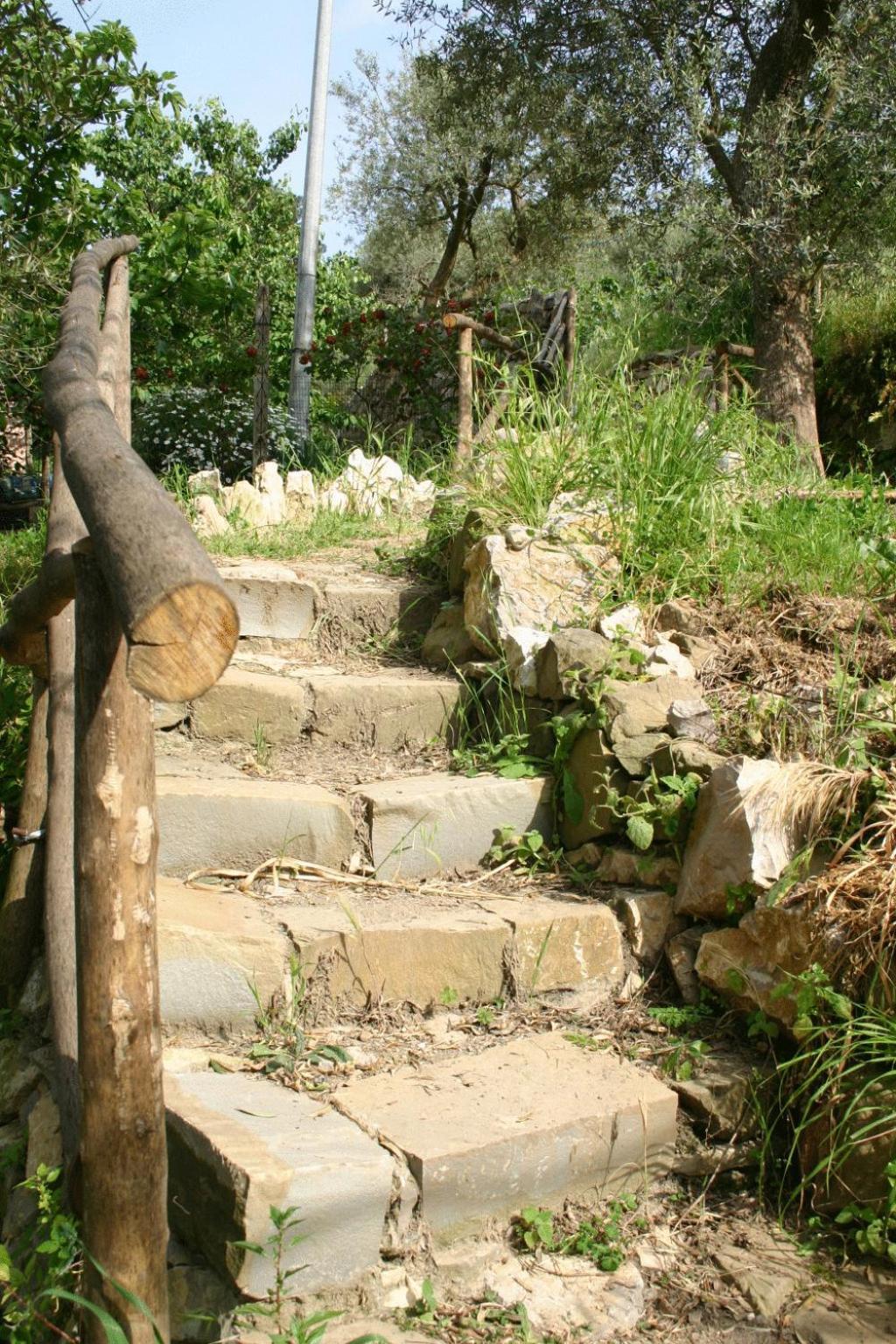 Gli Ulivi Agriturismo Sant'Agnello Extérieur photo