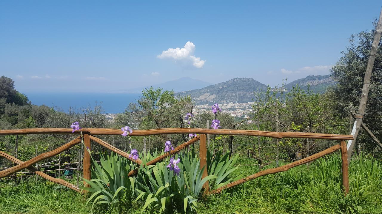 Gli Ulivi Agriturismo Sant'Agnello Extérieur photo