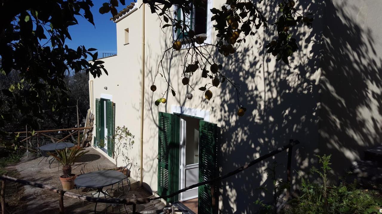 Gli Ulivi Agriturismo Sant'Agnello Extérieur photo