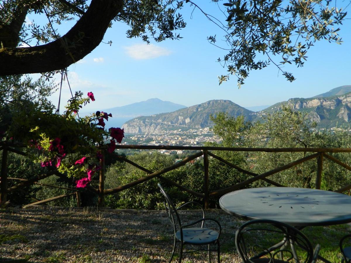 Gli Ulivi Agriturismo Sant'Agnello Extérieur photo