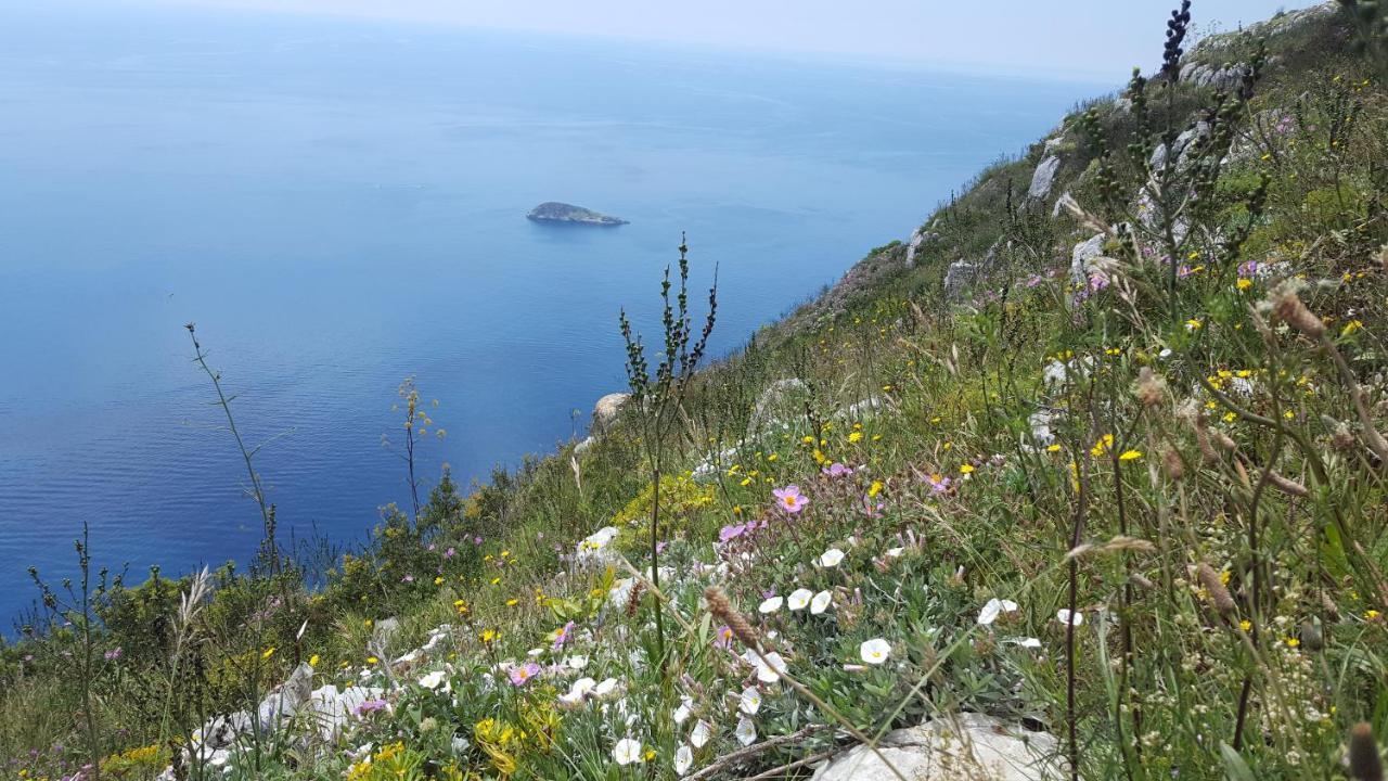 Gli Ulivi Agriturismo Sant'Agnello Extérieur photo